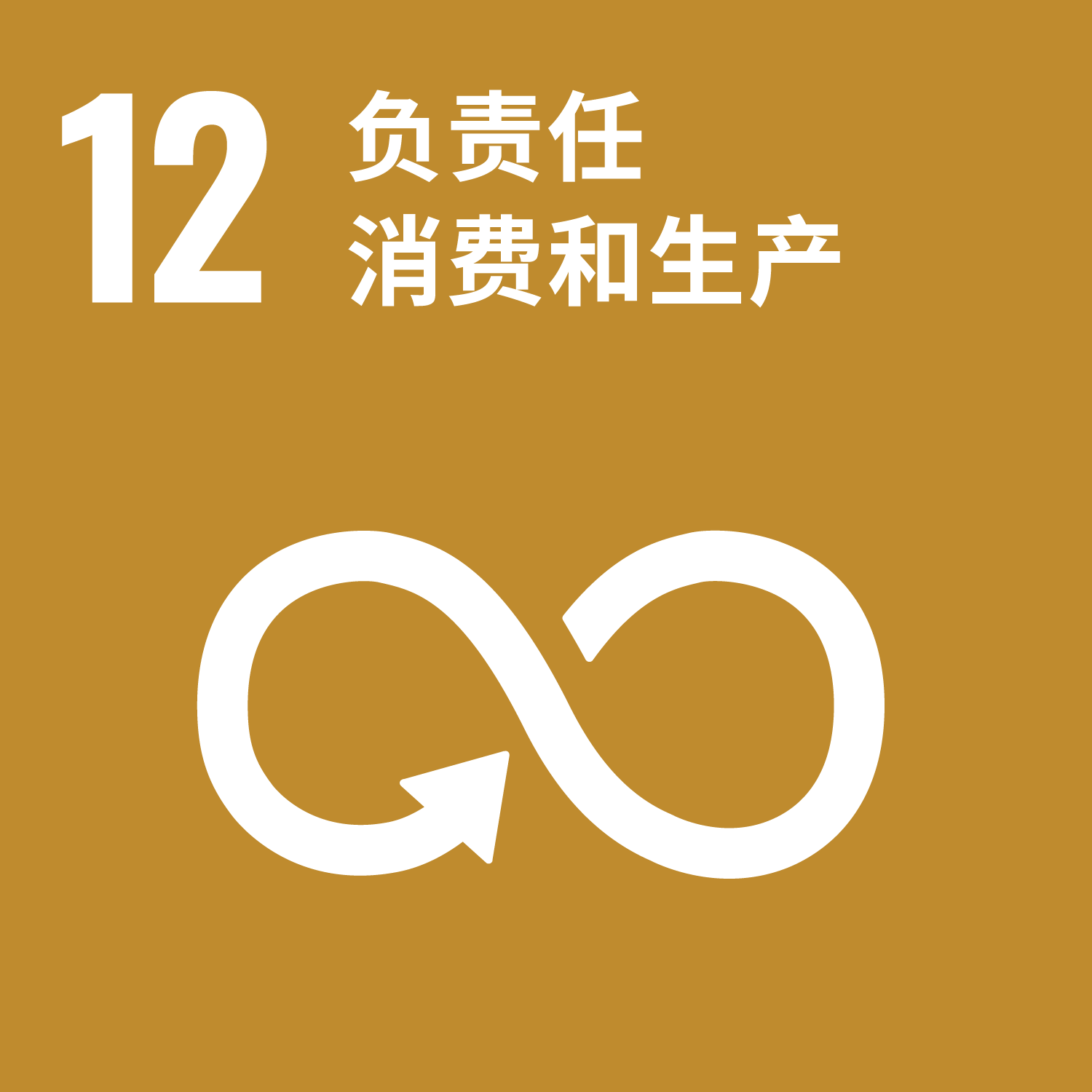 No.12 我们的优先可持续发展目标