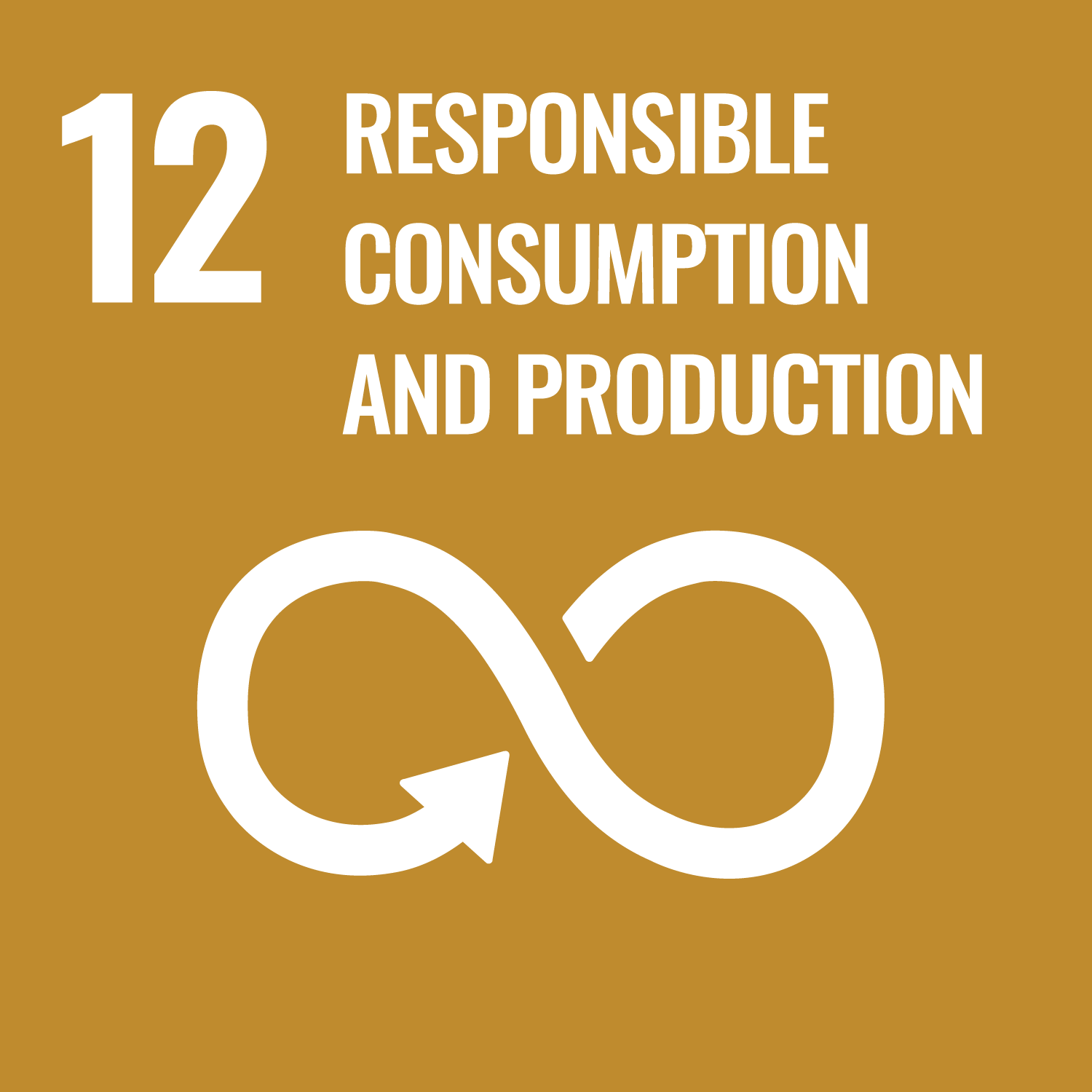 No.12 RESPONSIBLE CONSUMPTION AND PRODUCTION